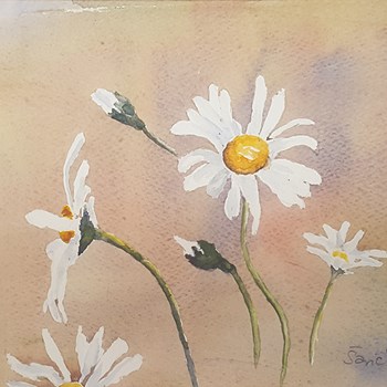 Marguerites