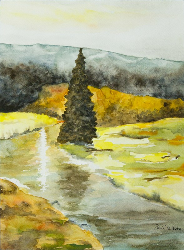 Landscape 6