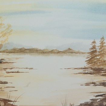 Landscape 14
