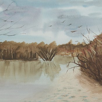 Landscape 23