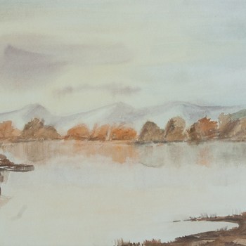 Landscape 25