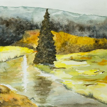 Landscape 6